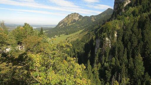 The very #green view of looking out from Neuschwanstein Castle during the early fall
#takeahike
#mountains