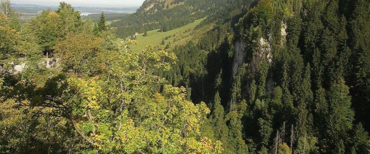 A mountainous landscape with dense forests, a prominent rocky peak, and a distant view of a valley.