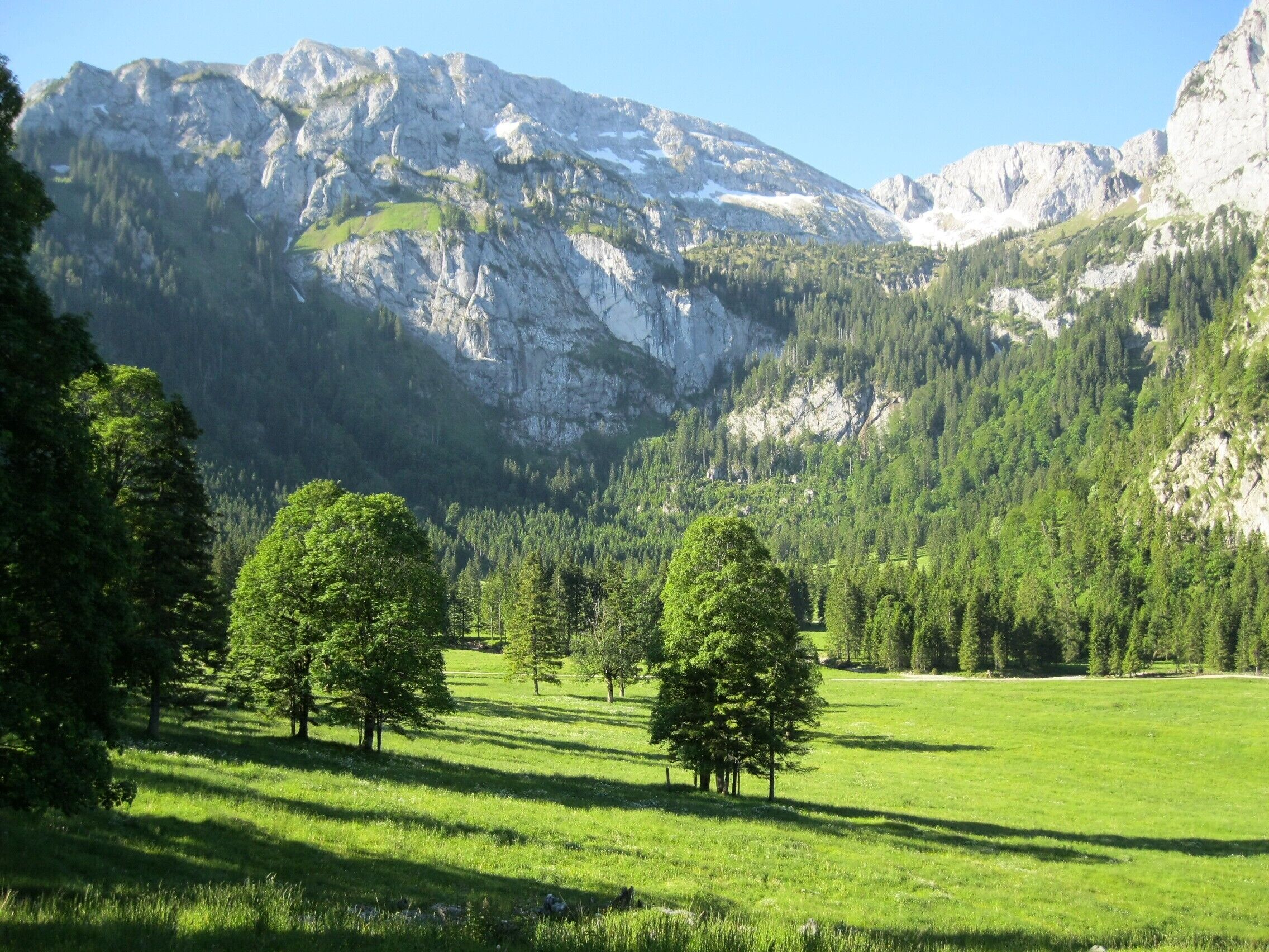 Am Wankerfleck in den Ammergauer Alpen, im Hintergrund die Hochplatte