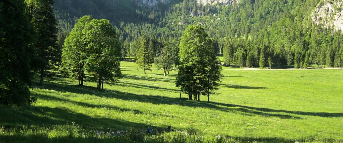Am Wankerfleck in den Ammergauer Alpen, im Hintergrund die Hochplatte