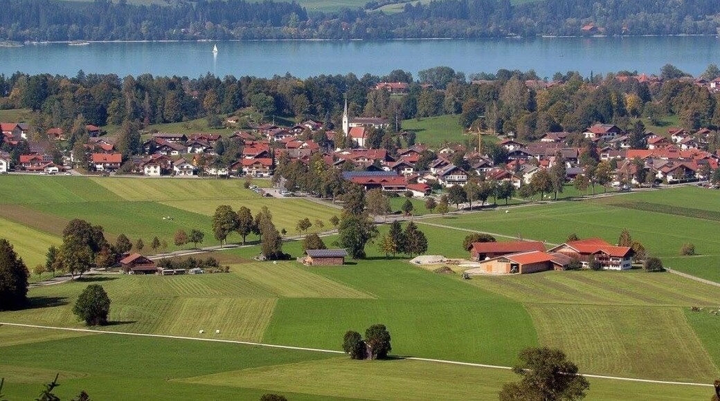 The landscape all around looks pretty #green from the top of Neuschwanstein Castle
#mountains