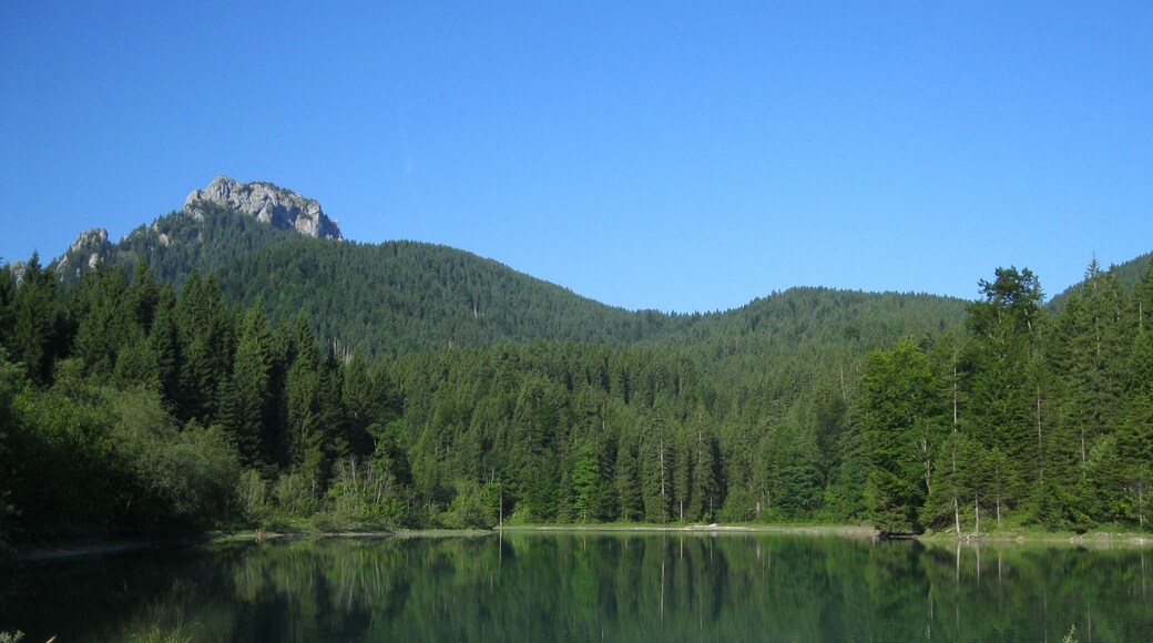 Stausee im Lobental; Lobentalbach; im Hintergrund die Ostflanke des Schönleitenschrofens
