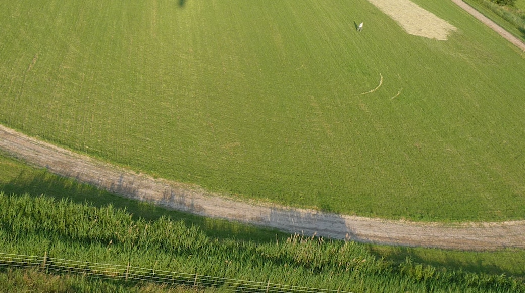 Die Tante rennt schnell, um ihre Gäule in Sicherheit zu bringen und führt sich dann ganz umöglich auf.