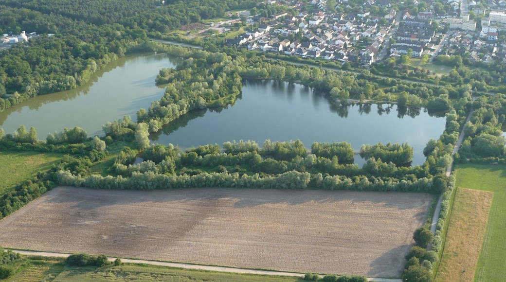 Haßloch