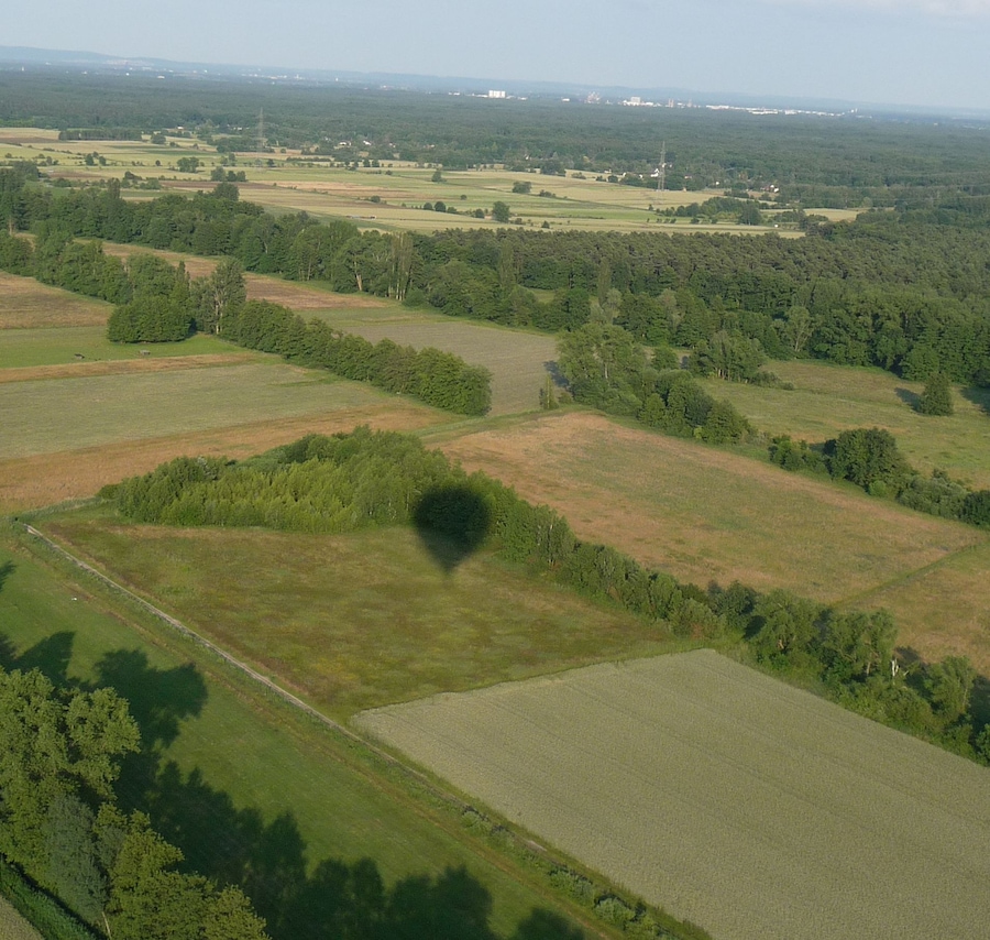 Eine Vogelperspektive auf eine ländliche Landschaft mit Feldern, Wäldern und verstreuten Gebäuden.