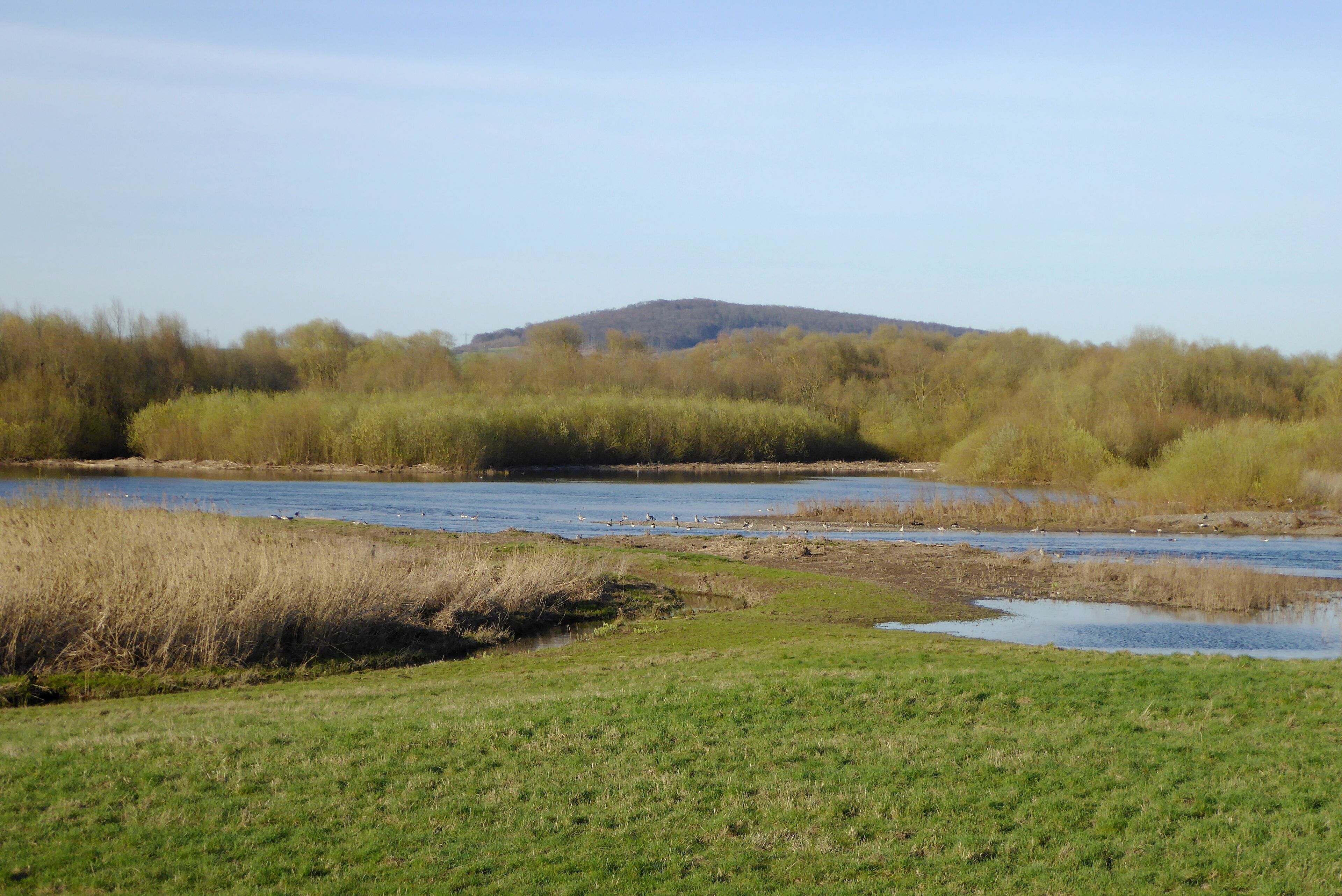 Blick von der Aussichtsplattform "Geschiebesperre" bei Hollenstedt auf die Northeimer Seen, Südniedersachsen.