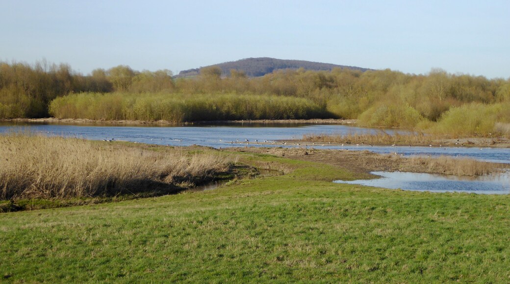 Blick von der Aussichtsplattform "Geschiebesperre" bei Hollenstedt auf die Northeimer Seen, Südniedersachsen.
