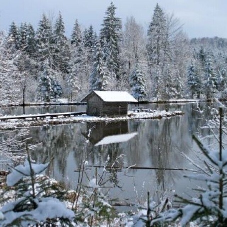 The Hackensee near Diemtramszell in Bavaria has that "WOW" factor in winter!  It makes for a nice easy flat walk.  It's also pretty in summer, but you don't want to swim there - too many aquatic plants!