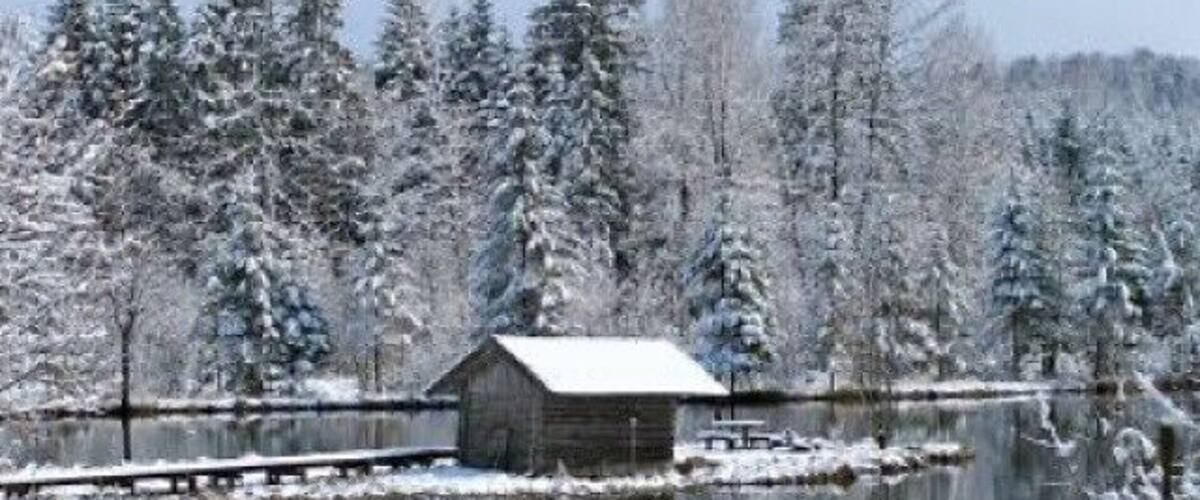 A snow-covered landscape with a wooden cabin by a lake, surrounded by snow-laden trees.