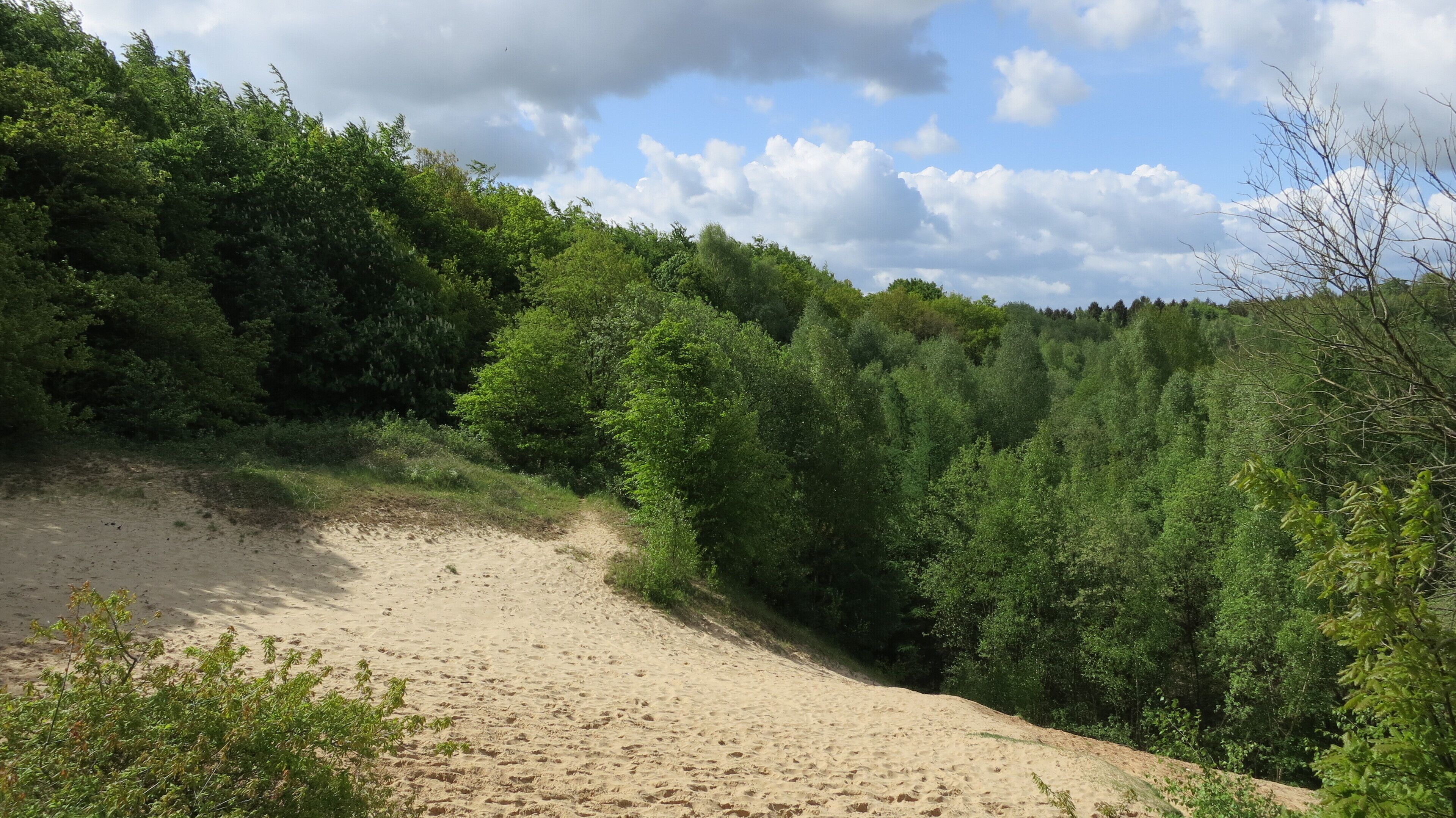 Die Kochkuhle vom Ostrand aus gesehen