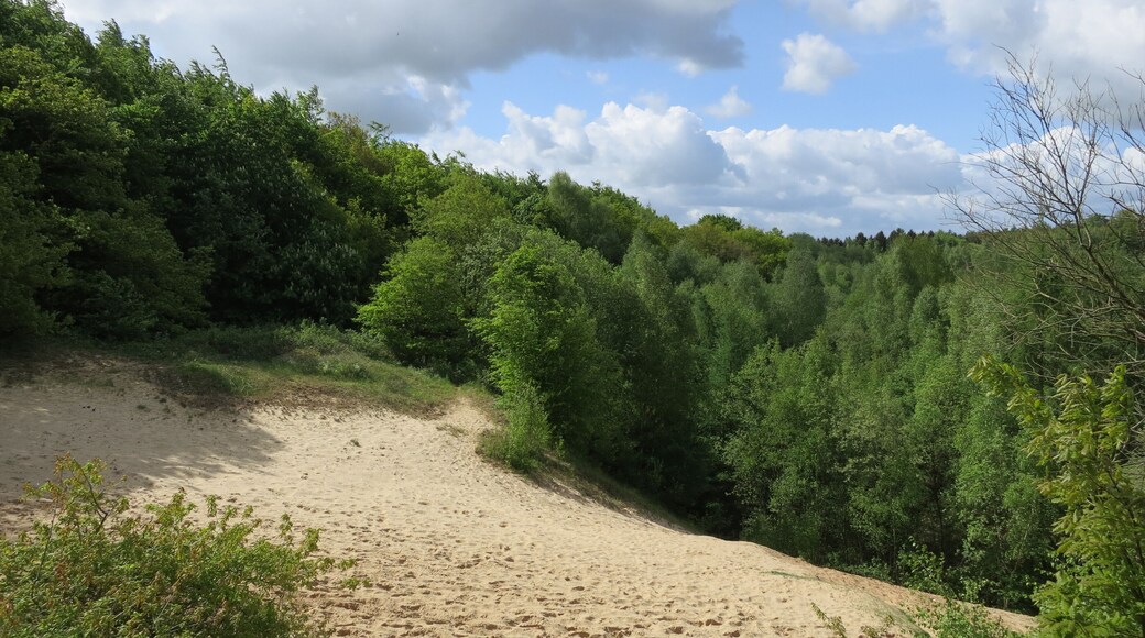Die Kochkuhle vom Ostrand aus gesehen