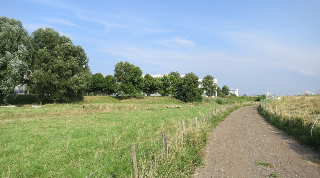 Die Suder Marsch in Itzehoe an der Stör.