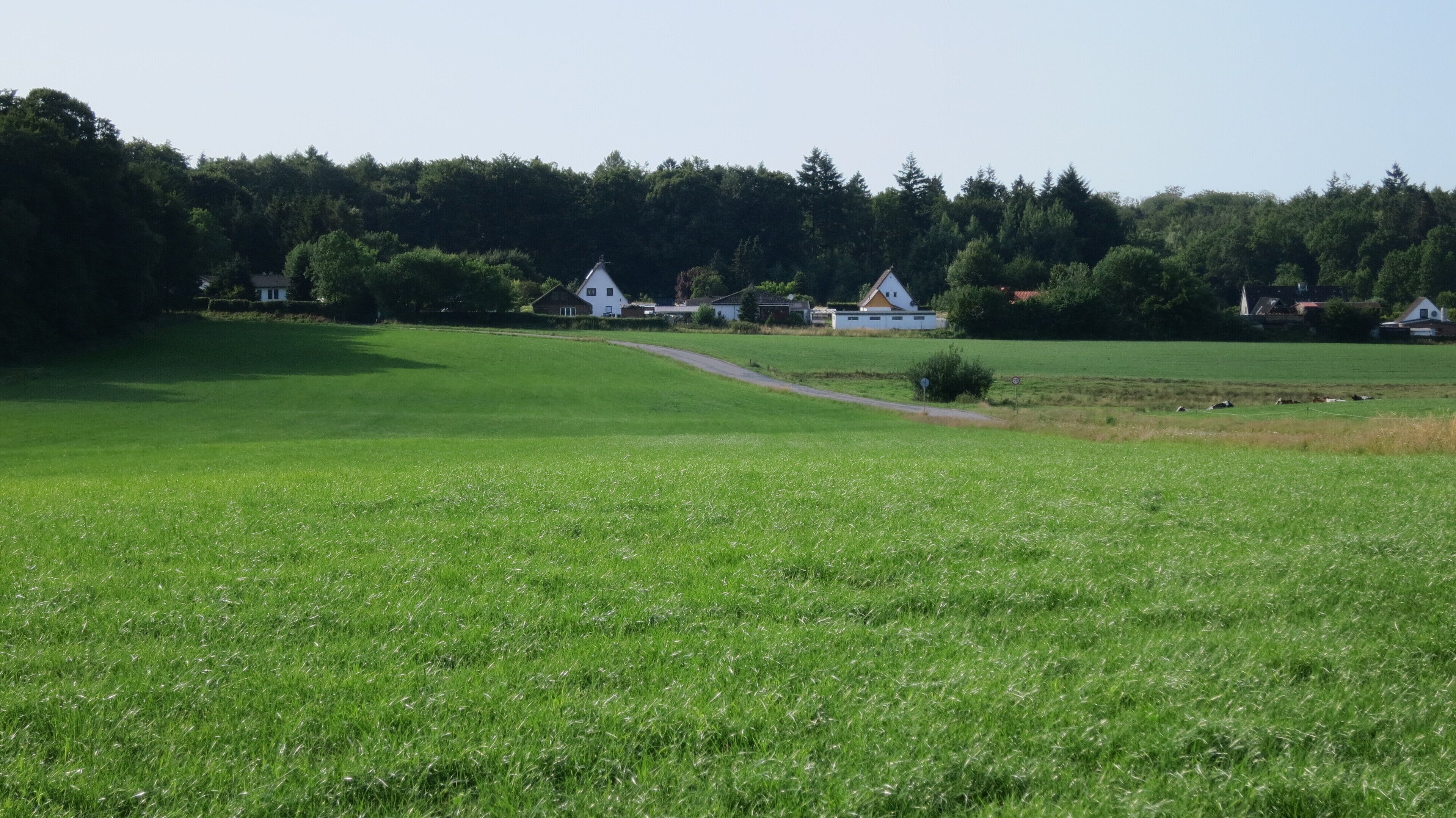 Talsenke der Schmabek beim Hof Basten, Blick nach Nordnordwesten.