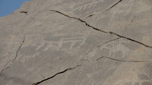If you continue through the village of Qadah, you will find yourself on a road through farmland. It is very green and pretty. Continue on the road up the wadi (dry riverbed) until you are almost at the end of the road - you end up in Tawi village and there is a wall of mountains in front of you. On the left hand side of the road, just before a large white house (from memory after a white house too), there are ancient petroglyphs carved into the rocks. There is a fairly open space with a tumble of rocks and some are on these and some on the rock face behind or next to them...