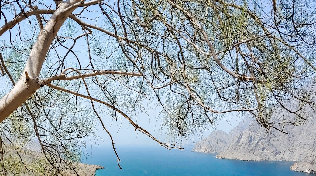 The color of that water is unreal