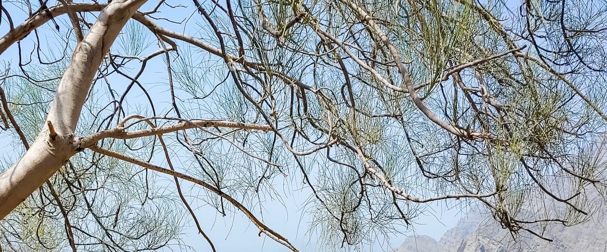 The color of that water is unreal