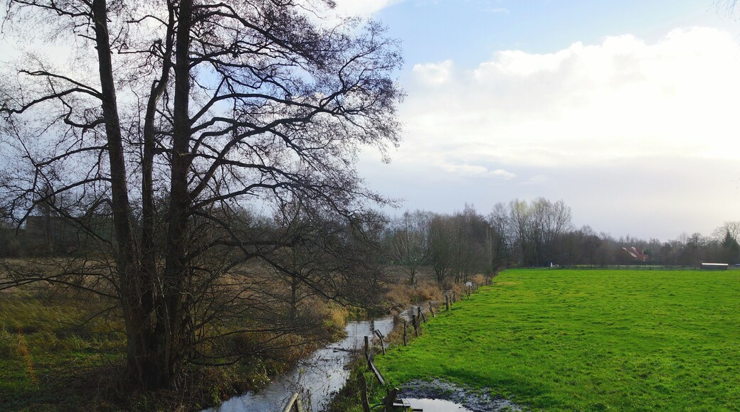 Oersdorf (Oersrdorf), Germany: Ohlau