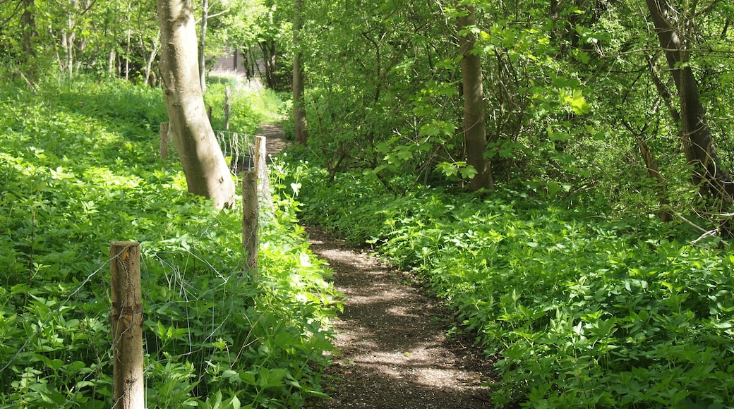 Wertachwanderweg Kaufbeuren auf Höhe des Puppentheaters an der Honoldstraße