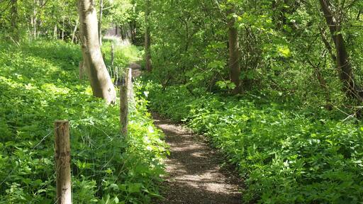 Wertachwanderweg Kaufbeuren auf Höhe des Puppentheaters an der Honoldstraße