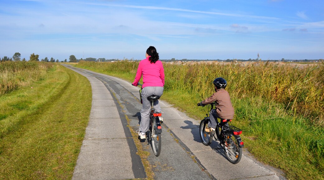 Rad fahren auf der Insel Usedom