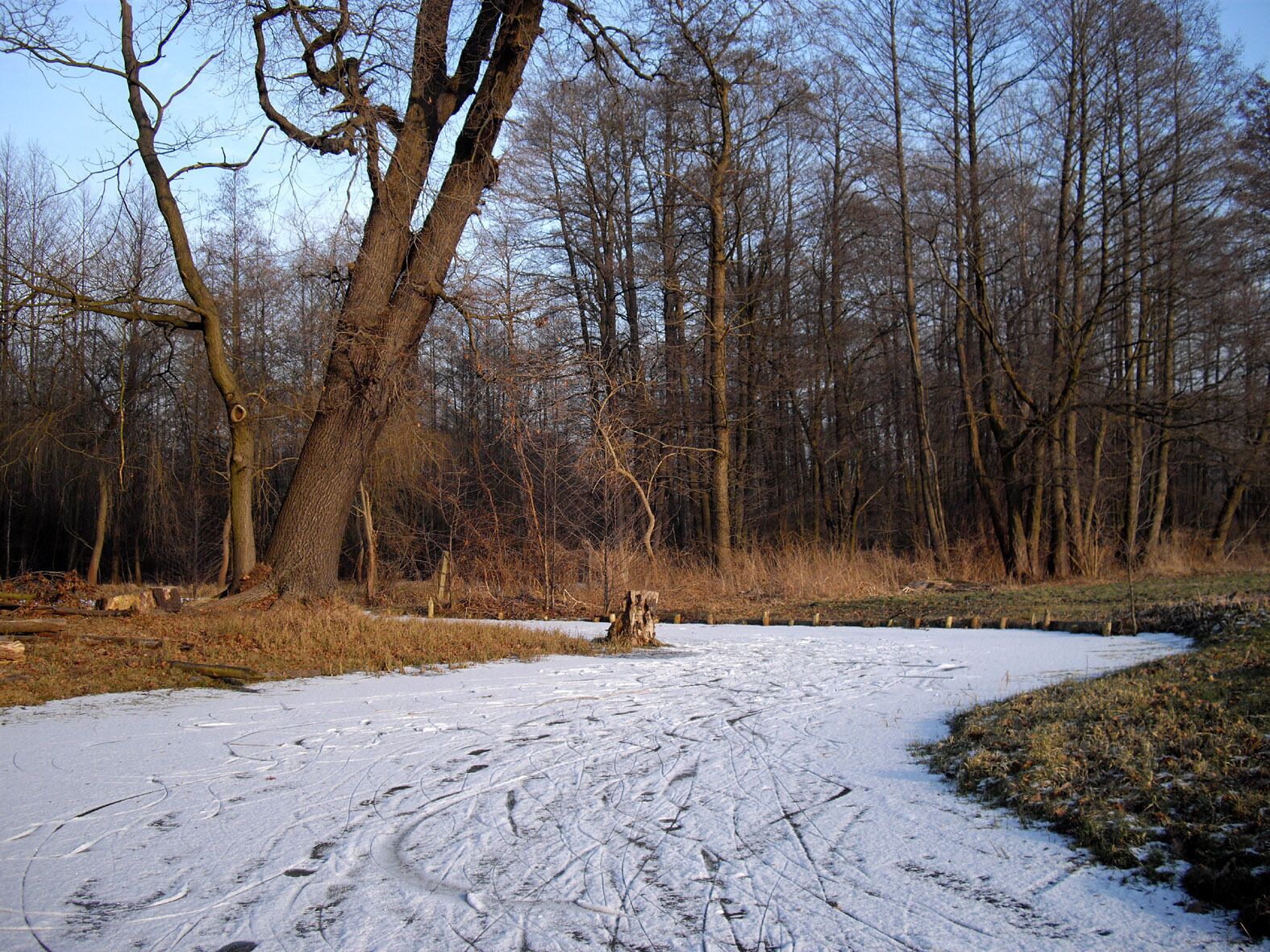 Spreewald im Winter