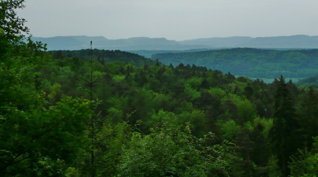 Naturpark Schönbuch mit Blick auf die Schwäbische Alb