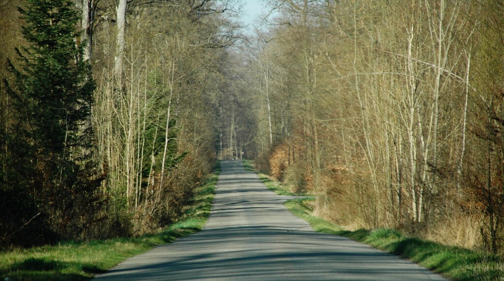 Straße zum Schloss Einsiedel