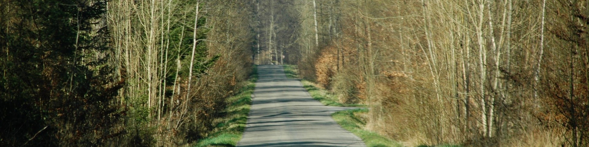 Straße zum Schloss Einsiedel