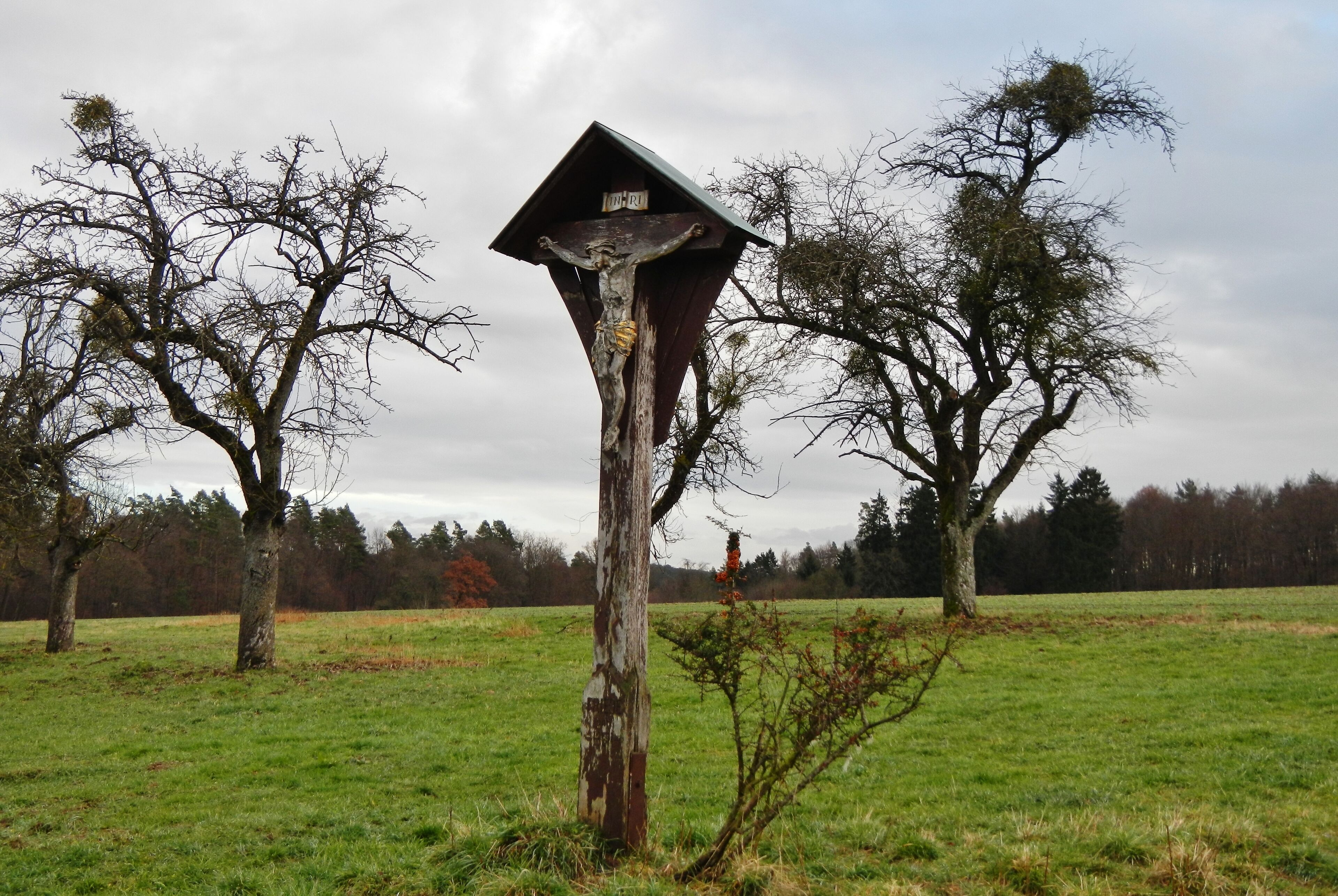 A weathered wooden structure resembling a birdhouse in a grassy field with leafless trees in the background.