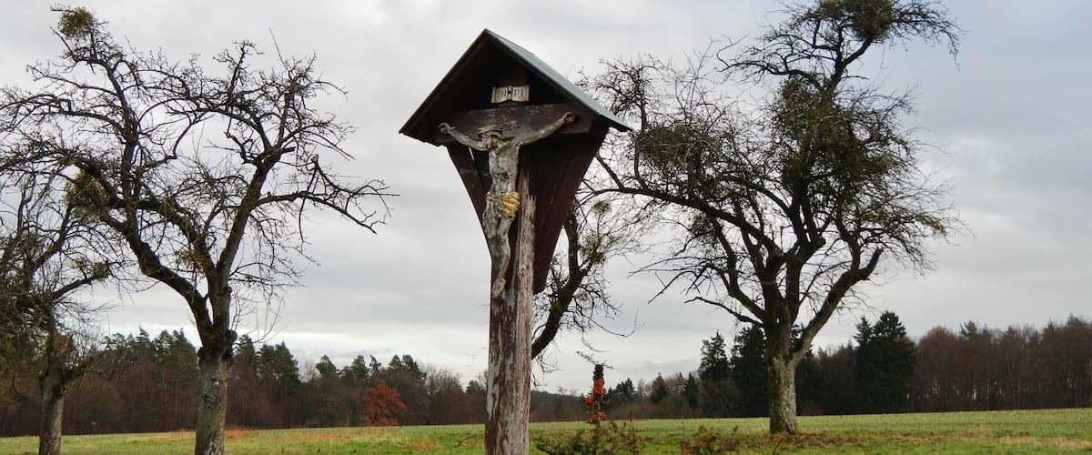 A weathered wooden structure resembling a birdhouse in a grassy field with leafless trees in the background.