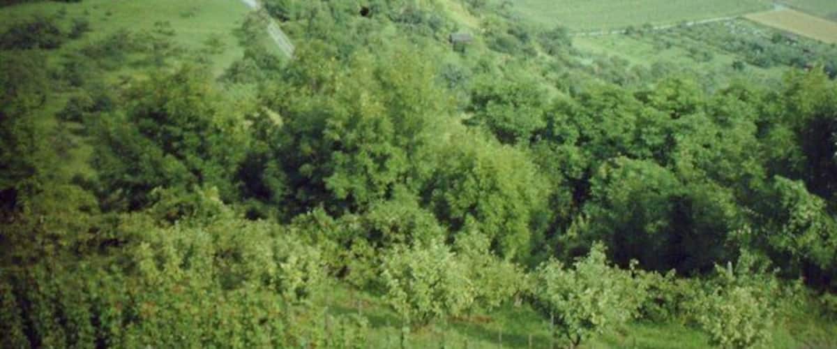 A village nestled in a valley surrounded by lush greenery and fields.