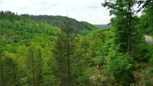 Naturpark Schönbuch