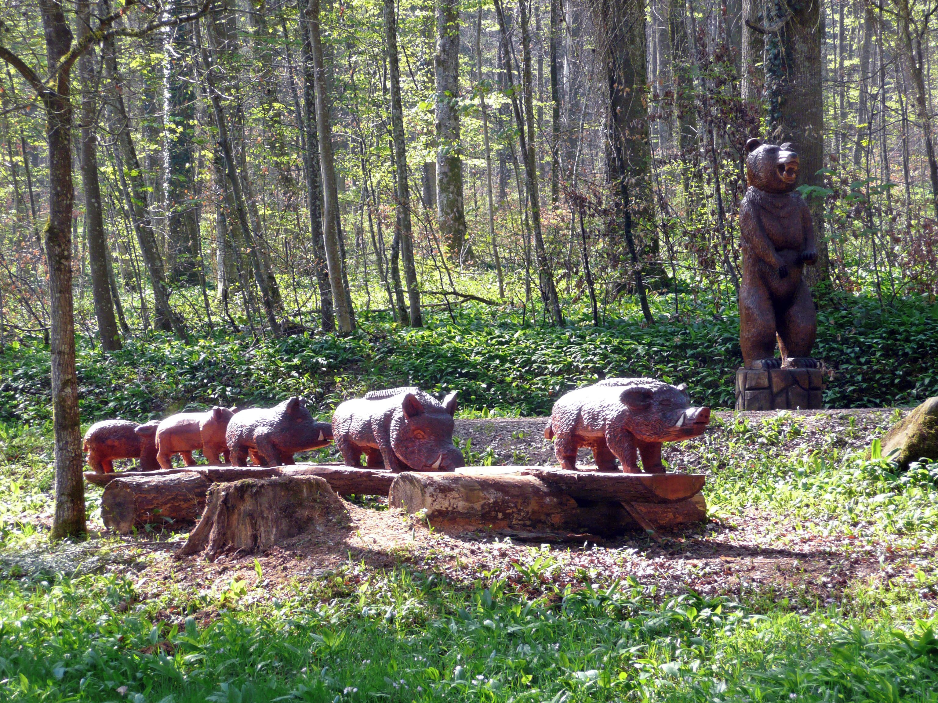 Wildschweine und Bären im Naturpark Schönbuch