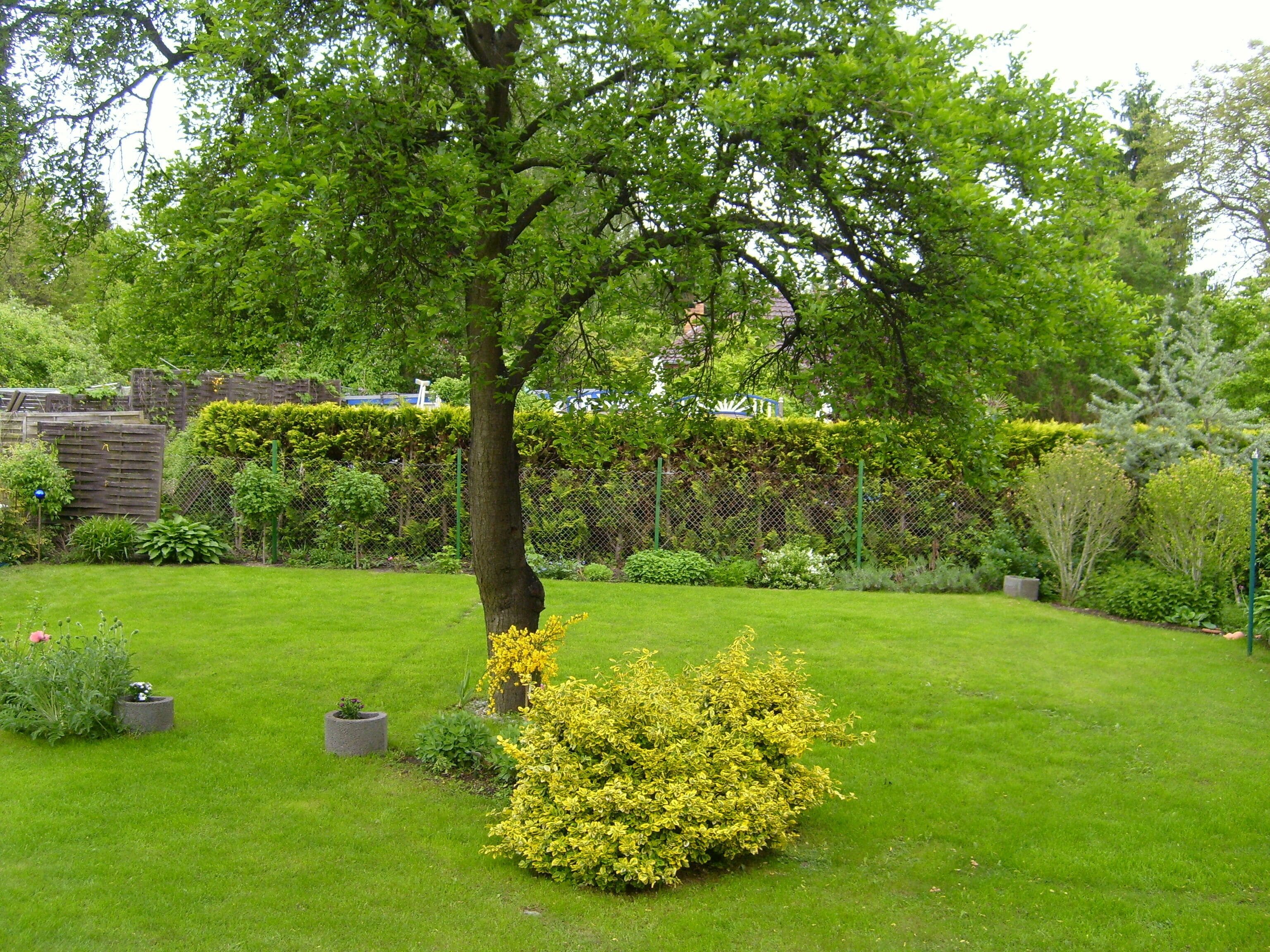 Deutschland Teltow Heinrich-Schütz-Strasse