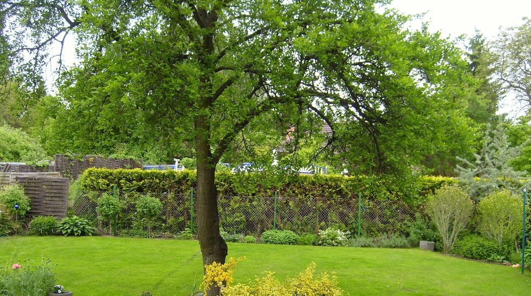 Deutschland Teltow Heinrich-Schütz-Strasse