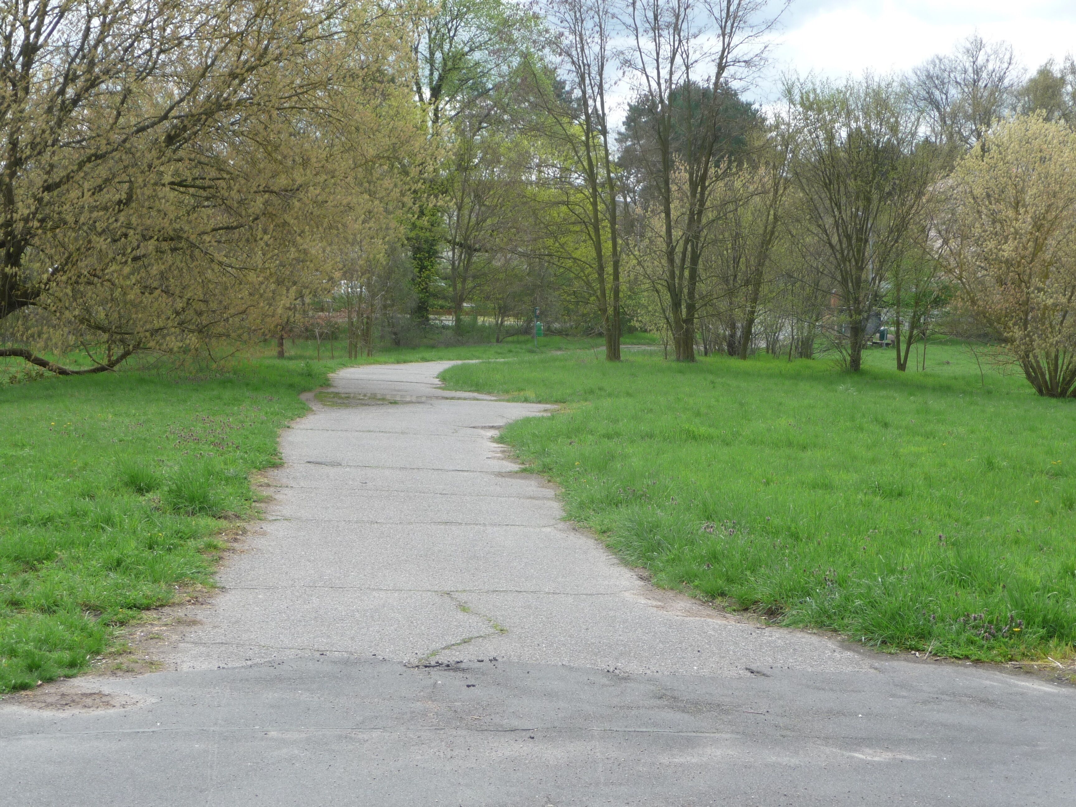 Verlängerte Wupperstraße auf dem Teltower Stadtgebiet. Blick in Richtung der Lichterfelder Allee (die verläuft hinter den Bäumen im Bildhintergrund, dort ist das westliche Ende des Diako-Geländes)