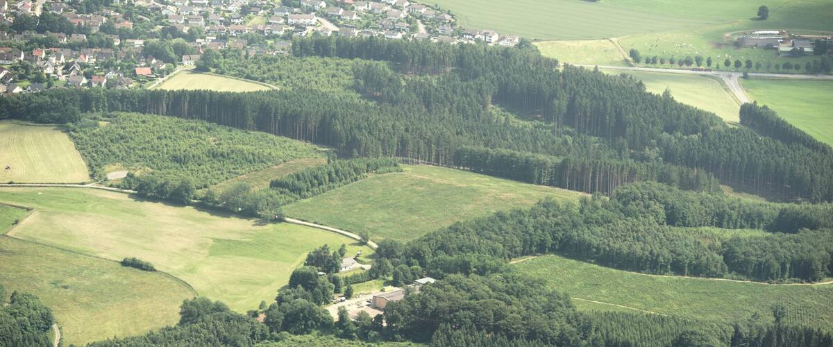 The making of this document was supported by the Community-Budget of Wikimedia Germany. To see other files made with the support of Wikimedia Germany, please see the category Supported by Wikimedia Deutschland.