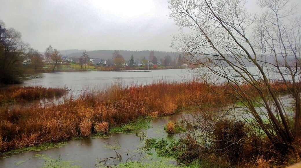 Sorpe fließt in den Sorpesee