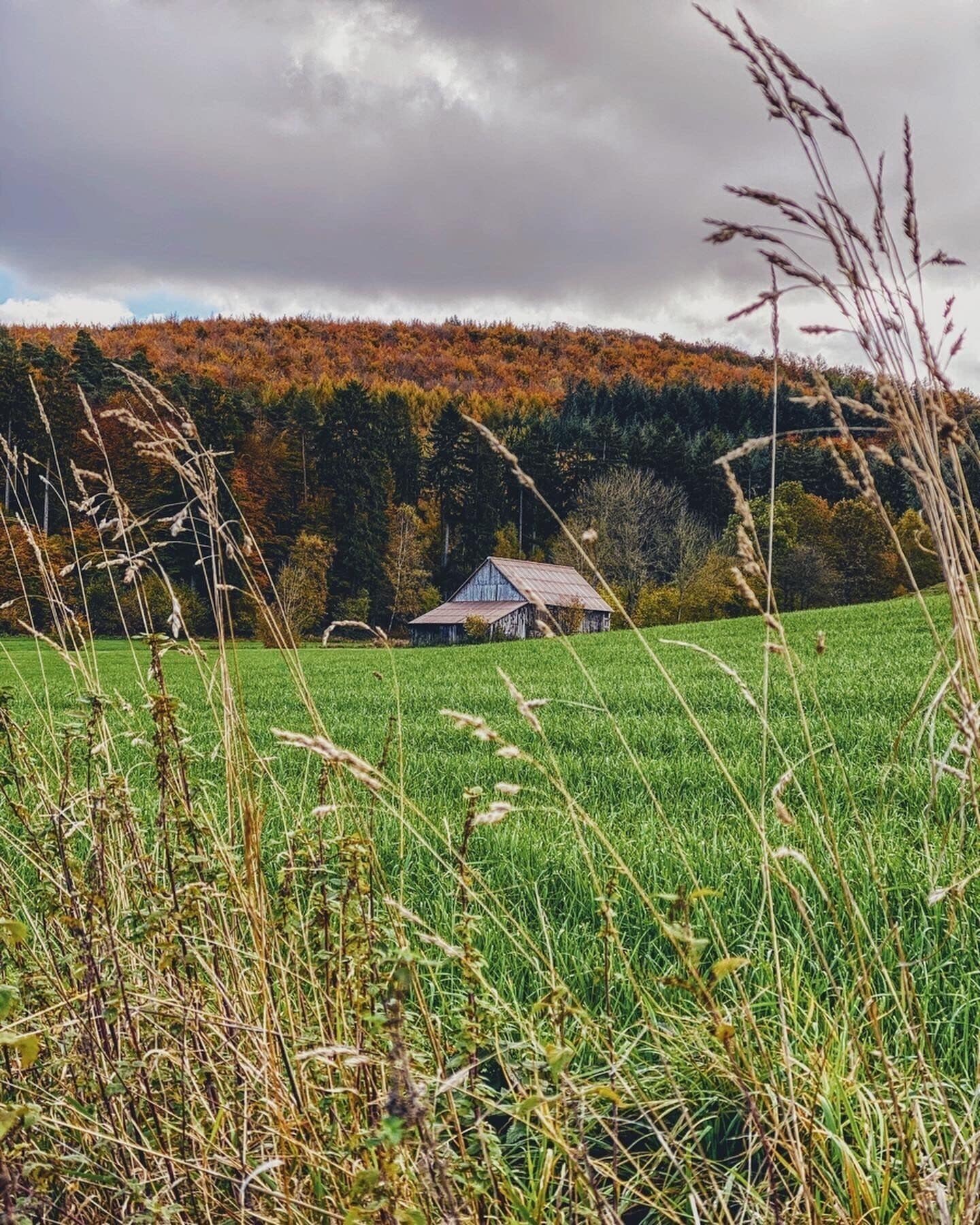 The whole Sauerland area boasts dense forests and rolling hills of green pastures. This lonely house can be seen on a footpath connecting the neighbouring villages of Allendorf and Stockum. 
#lifeatexpedia #germany #sundern #sauerland #nrw