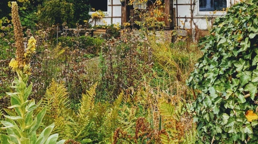 Deep in the German countryside, surrounded by green grass, dense forests, plump sheep and black and white cows, you can find the little village of Stockum. This is a local, family owned guesthouse, called Haus Buntspecht.
#lifeatexpedia #nrw #sundern #sauerland #germany
