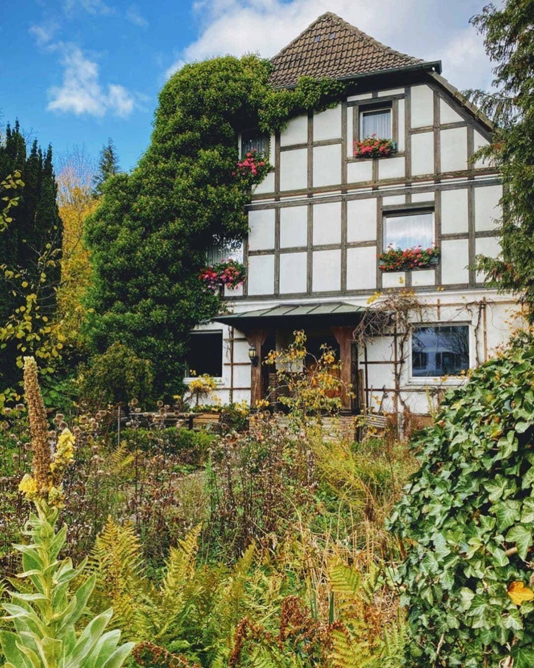 A traditional half-timbered house surrounded by lush greenery and flowering plants.