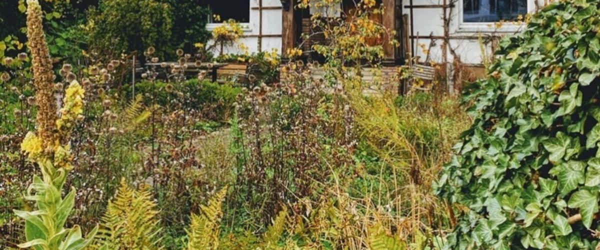 A traditional half-timbered house surrounded by lush greenery and flowering plants.