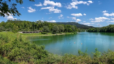 Ein ruhiger See, umgeben von üppigem Grün und Hügeln.
