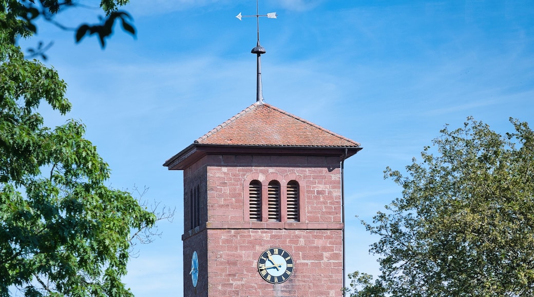 A brick clock tower with a weather vane, surrounded by lush green trees.