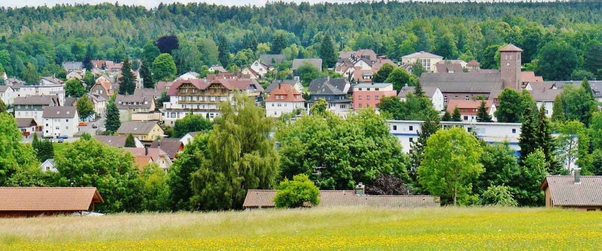 A village with houses, a church, and a forested hill in the background.