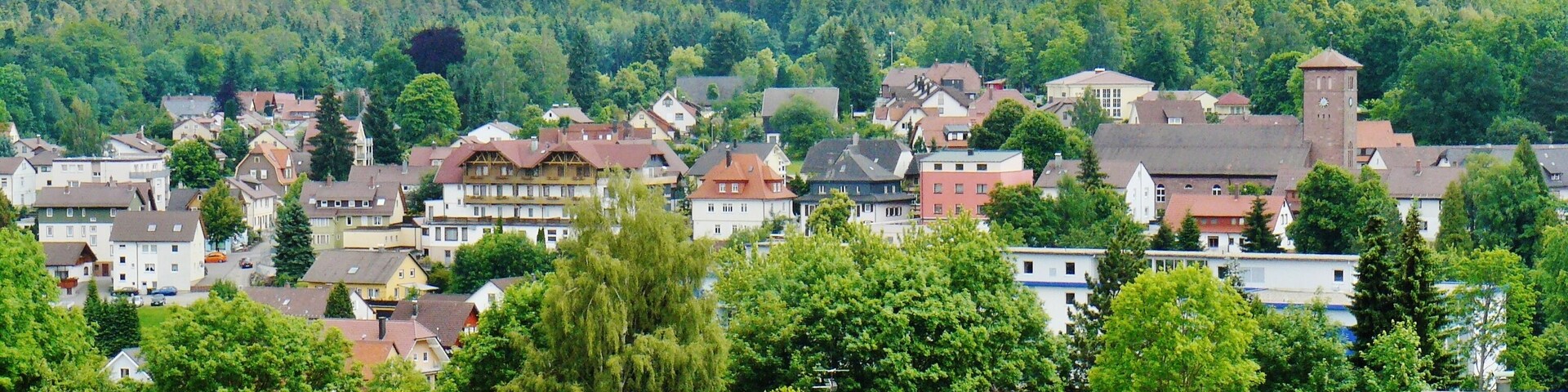 A village with houses, a church, and a forested hill in the background.