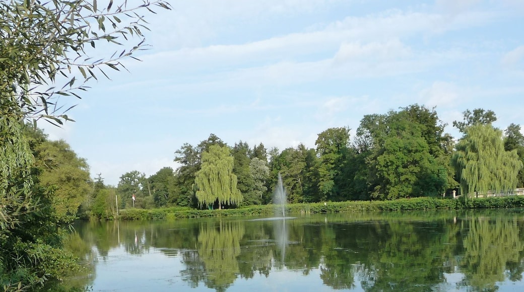 Dorfsee Reichmannsdorf