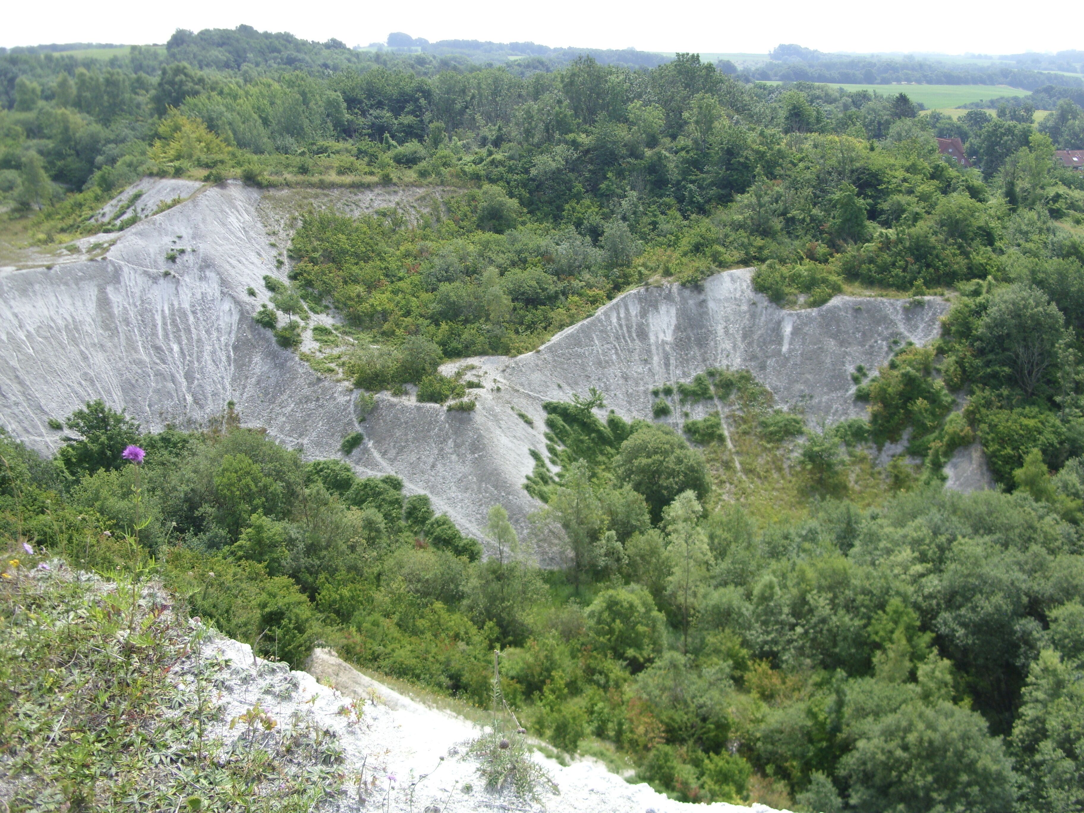 A landscape with a large, eroded cliff face surrounded by dense greenery.