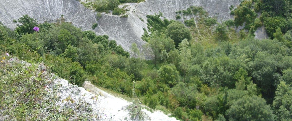 A landscape with a large, eroded cliff face surrounded by dense greenery.