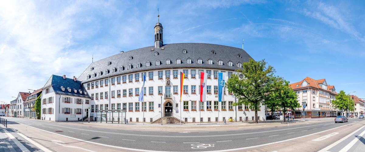 A large white building with a dome and multiple flags, surrounded by trees and other buildings.